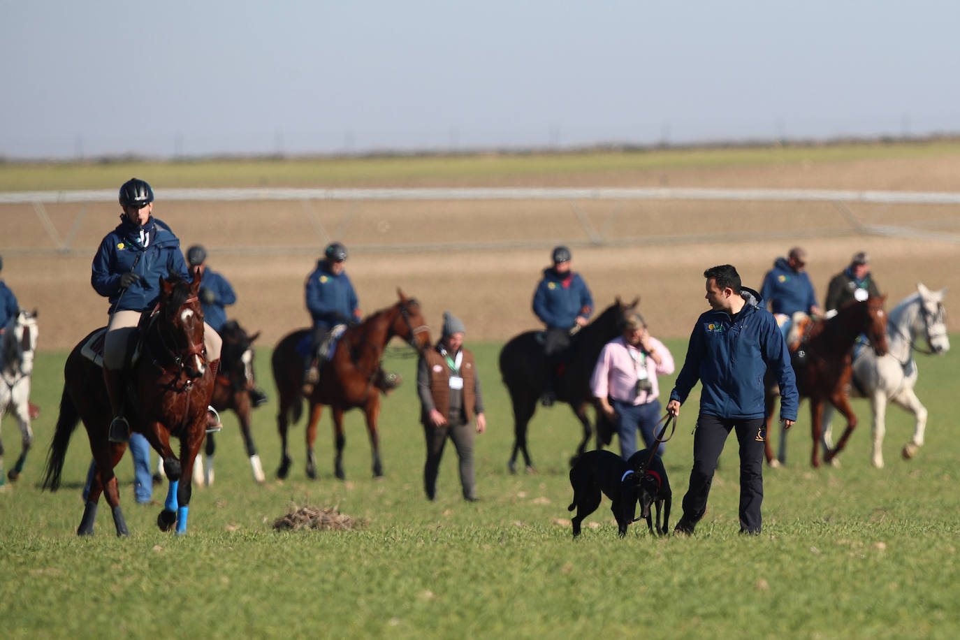 Fotos: Campeonato Nacional de Galgos en Medina del Campo
