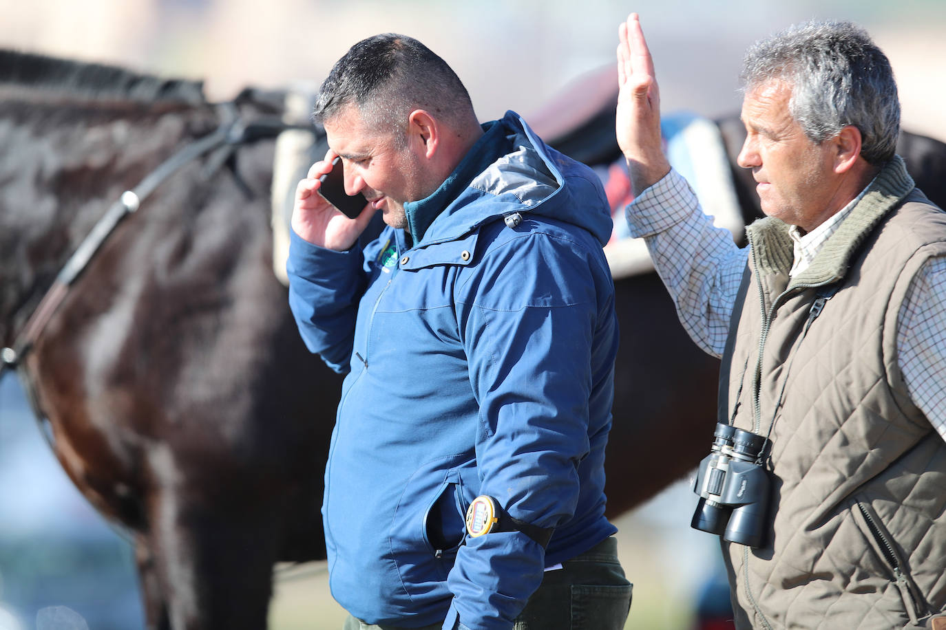 Fotos: Campeonato Nacional de Galgos en Medina del Campo