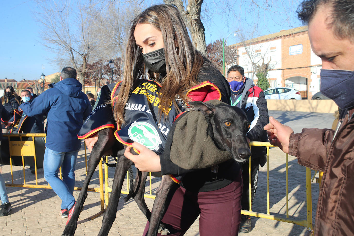 Fotos: Campeonato Nacional de Galgos en Medina del Campo