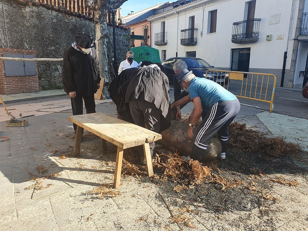 Linares de Riofrío y Las Casas del Conde celebran su tradicional matanza para disfrute de vecinos y visitantes 