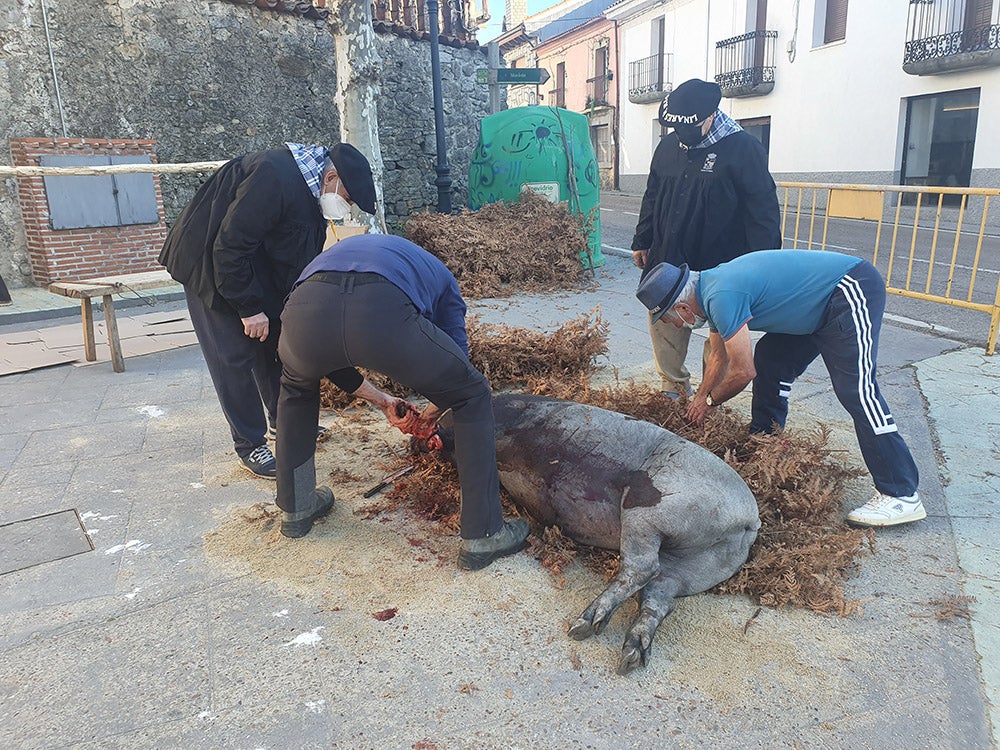 Linares de Riofrío y Las Casas del Conde celebran su tradicional matanza para disfrute de vecinos y visitantes 