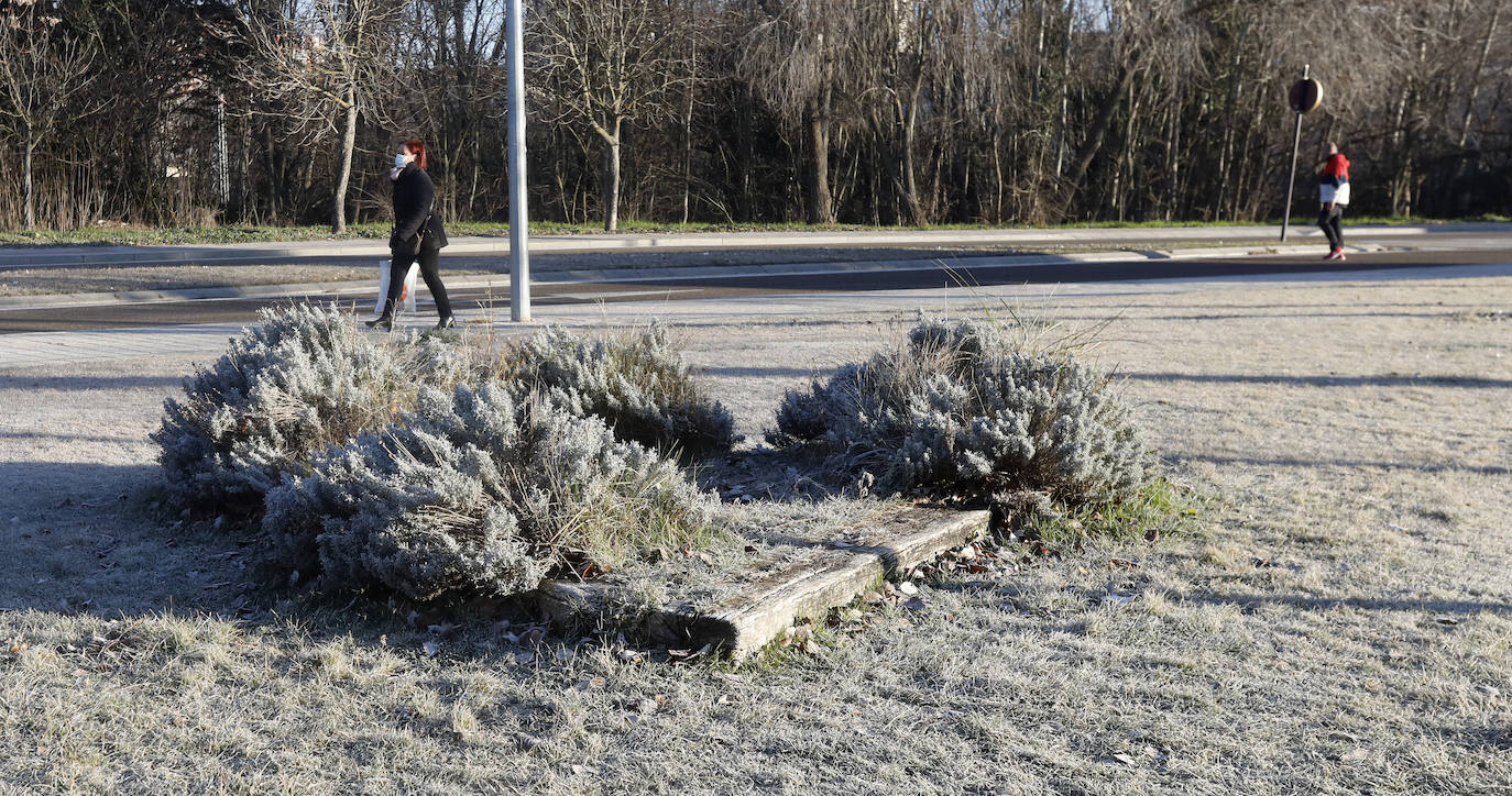 Fotos: Los termómetros caen en Palencia