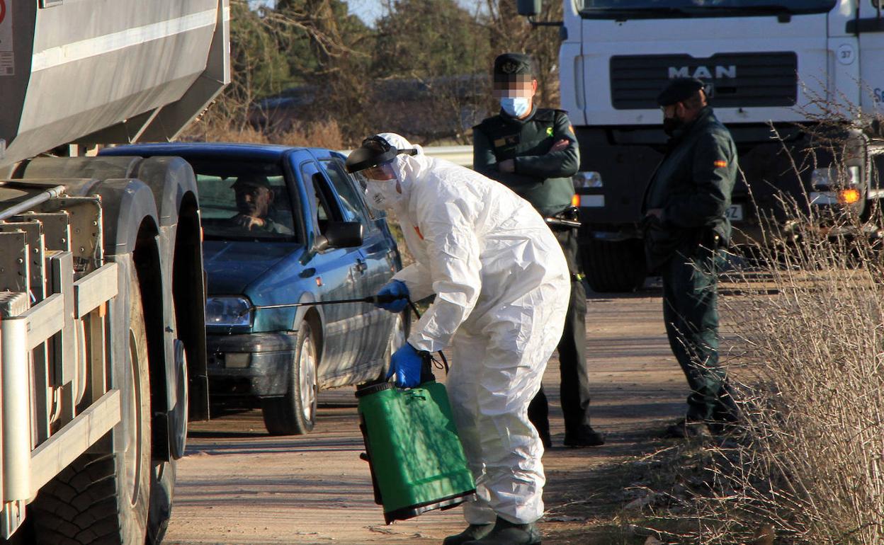 Los operarios desinfectan los camiones que se dirigen a la granja de Segovia. 