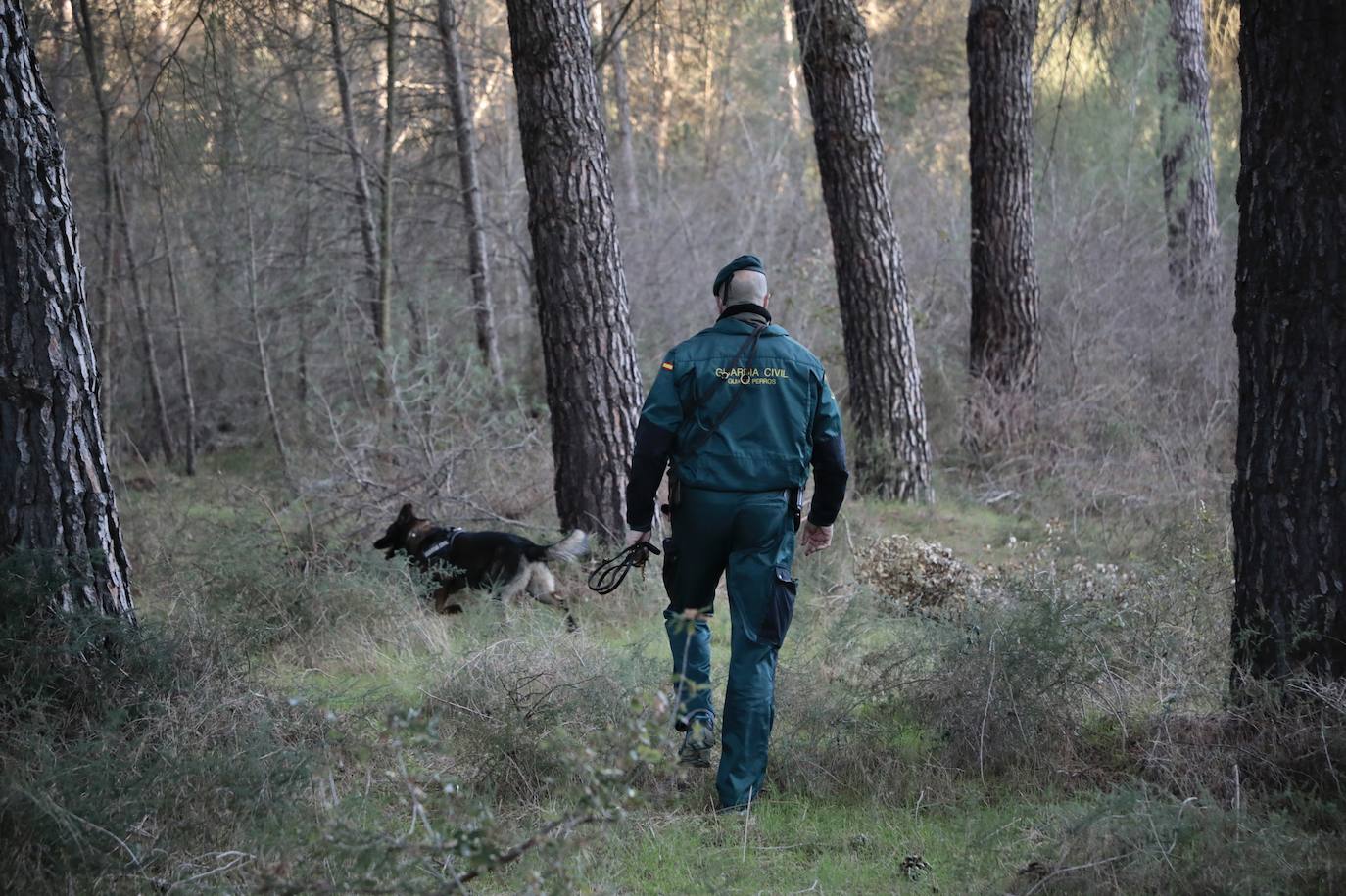 Fotos: Búsqueda con perros de la mujer desaparecida en Traspinedo