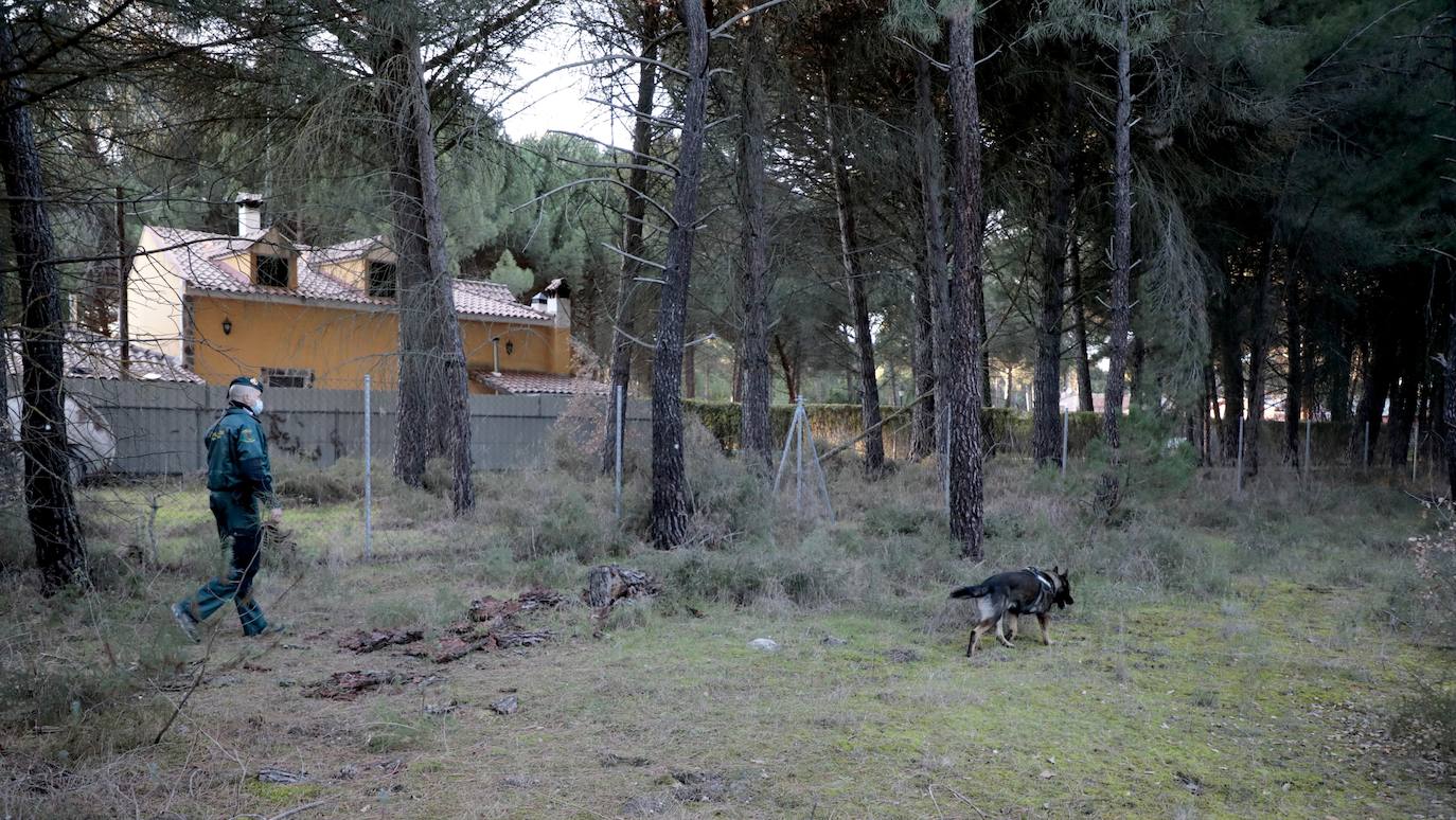 Fotos: Búsqueda con perros de la mujer desaparecida en Traspinedo