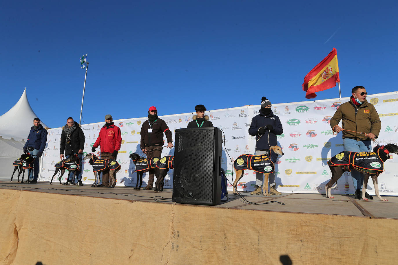 Primera jornada de cuartos de final del Campeonato Nacional de Galgos. 