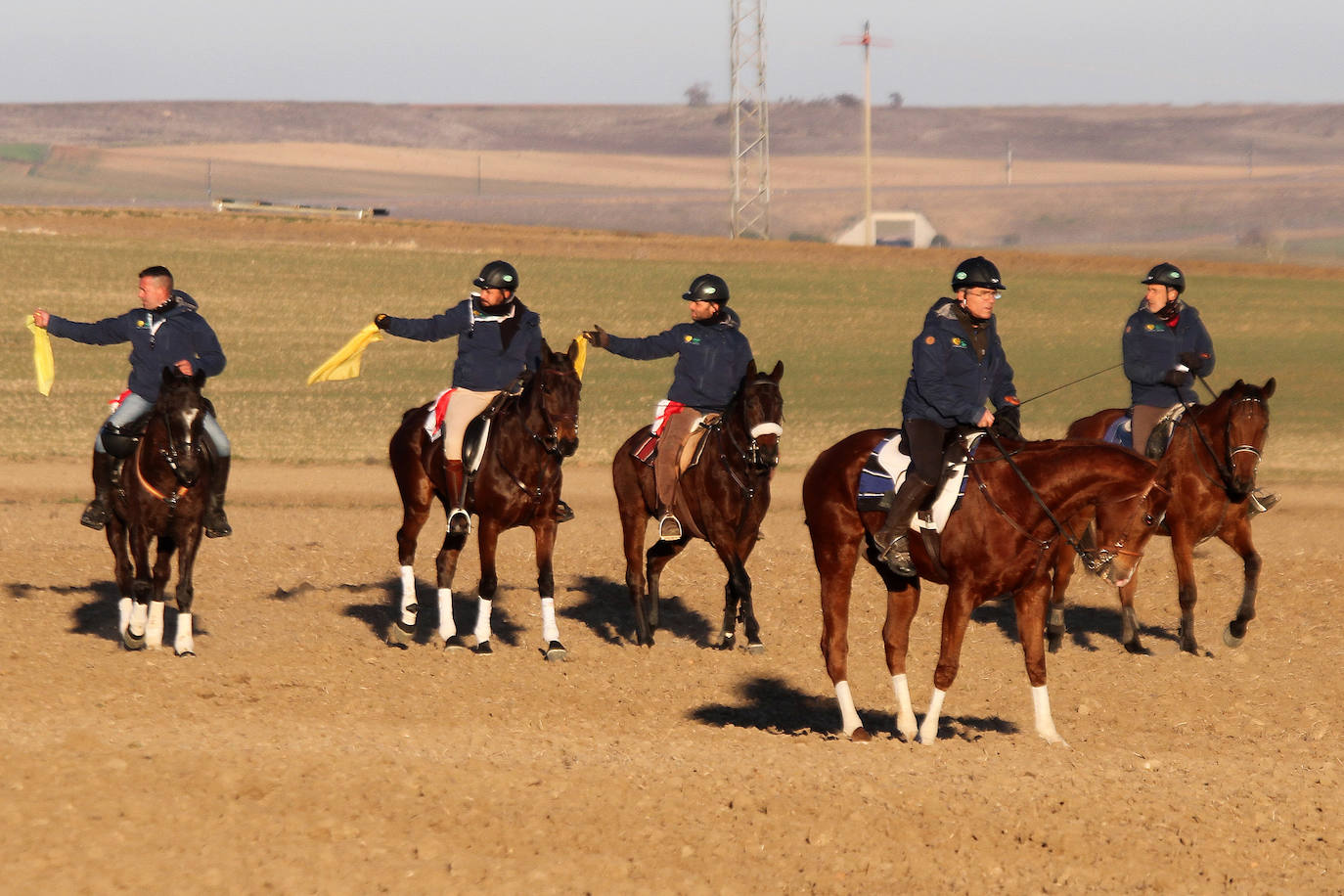 Primera jornada de cuartos de final del Campeonato Nacional de Galgos. 