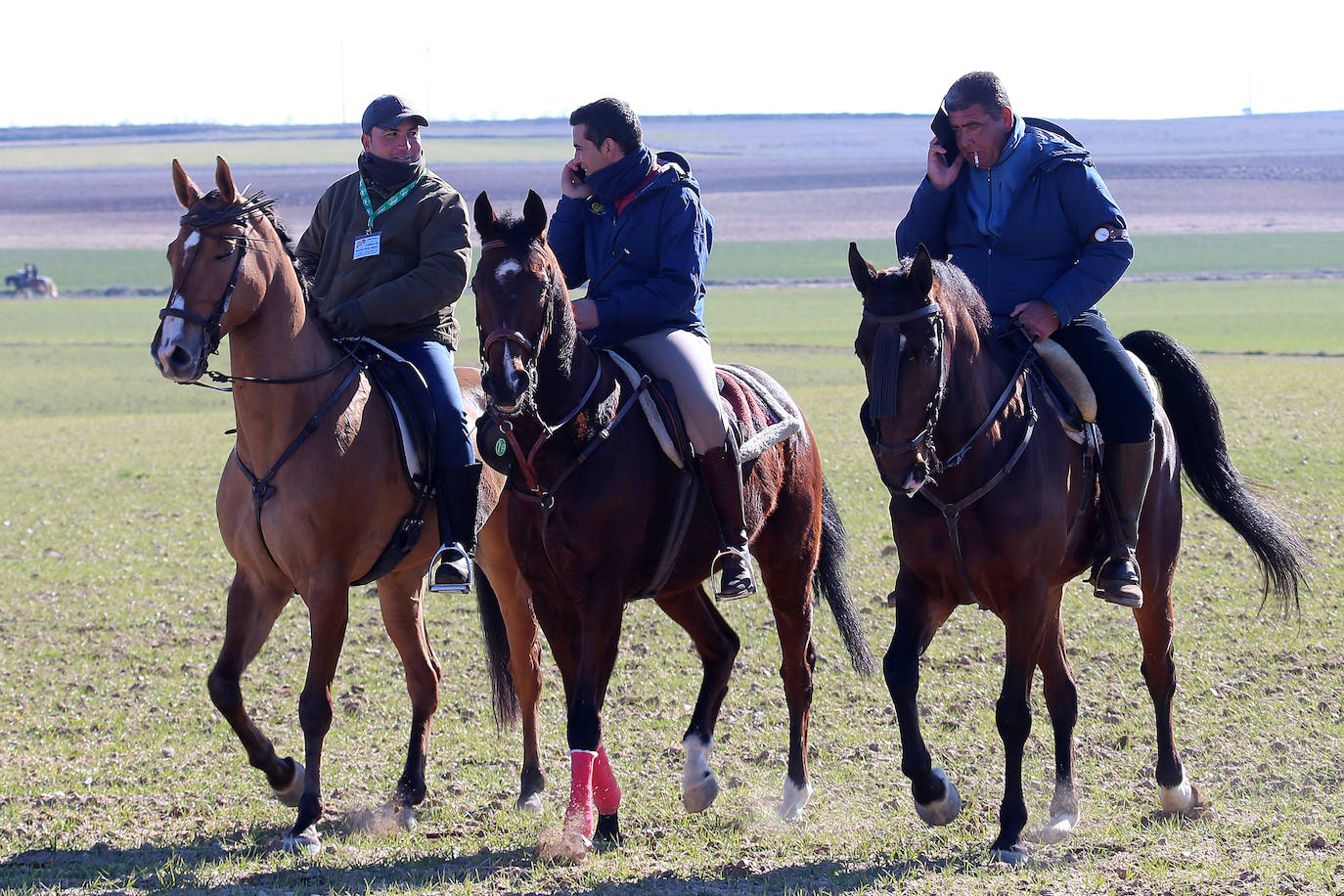 Segunda jornada de cuartos de final del Nacional de Galgos. 
