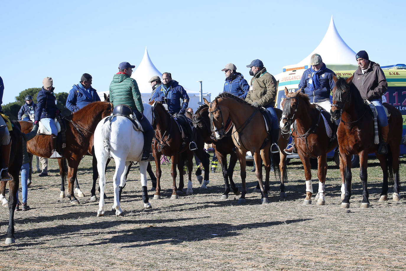 Segunda jornada de cuartos de final del Nacional de Galgos. 