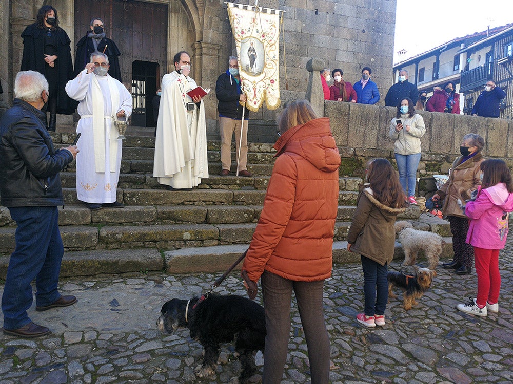 La Alberca recuerda la solidaridad del pueblo en la rifa del marrano de San Antón