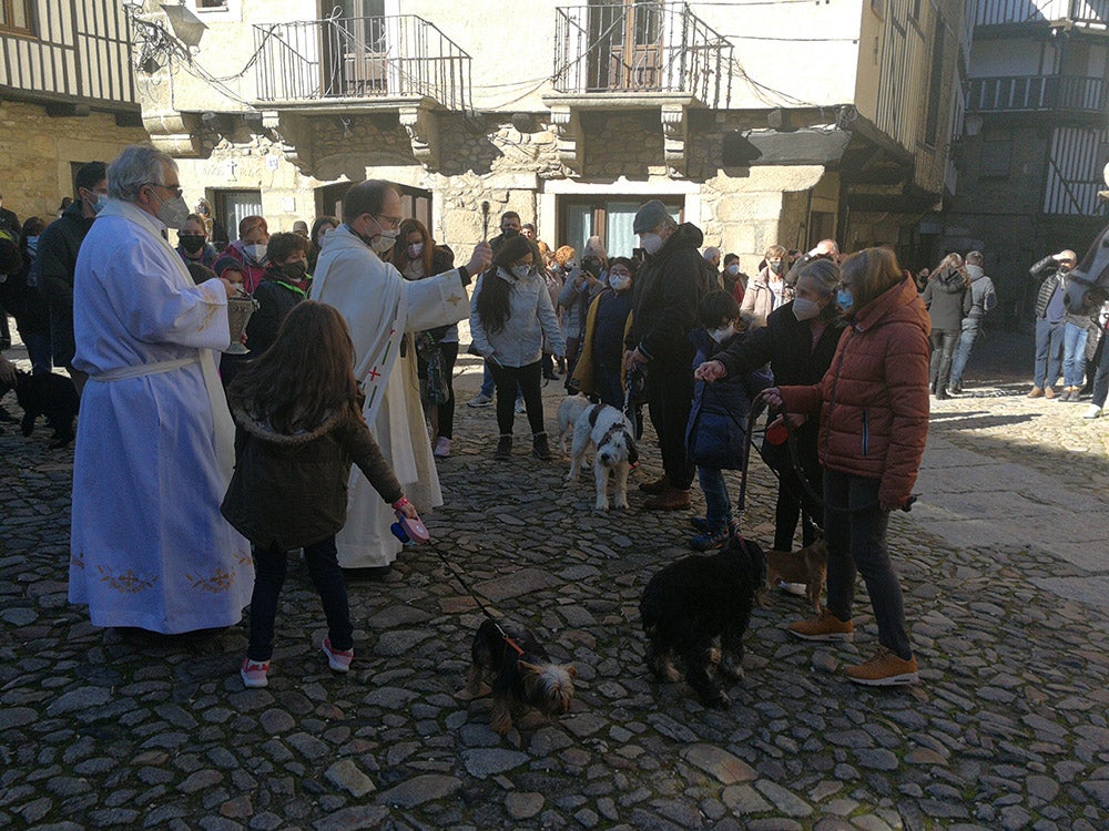 La Alberca recuerda la solidaridad del pueblo en la rifa del marrano de San Antón