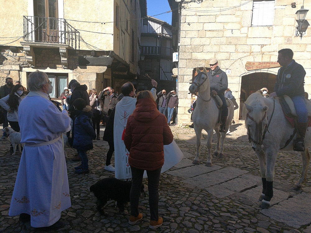 La Alberca recuerda la solidaridad del pueblo en la rifa del marrano de San Antón