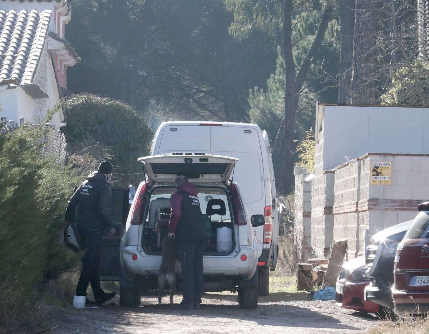 Fotos: La jornada de este martes en Traspinedo