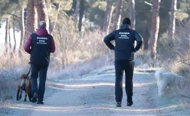 Agentes con perros adiestrados rastrean el entorno de la vivienda del detenido. 