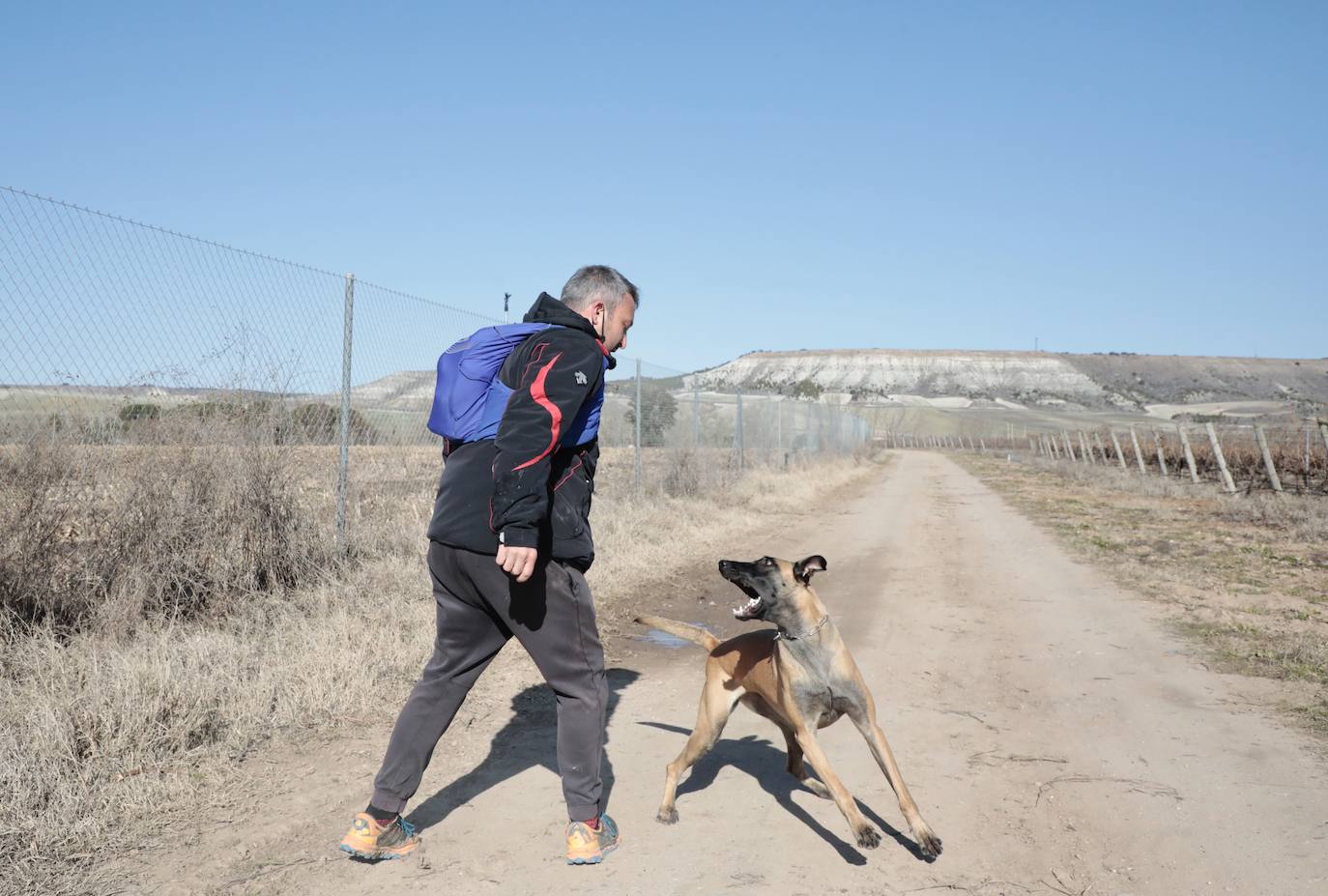 Fotos: David González y su perra Luna, voluntarios en la búsqueda de Esther López