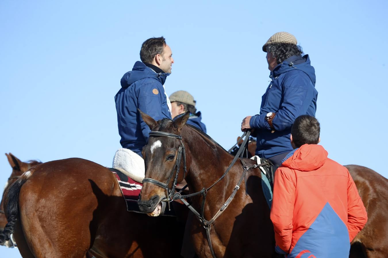 Fotos: Segunda jornada de semifinales del LXXXIV Campeonato de España de Galgos en Campo