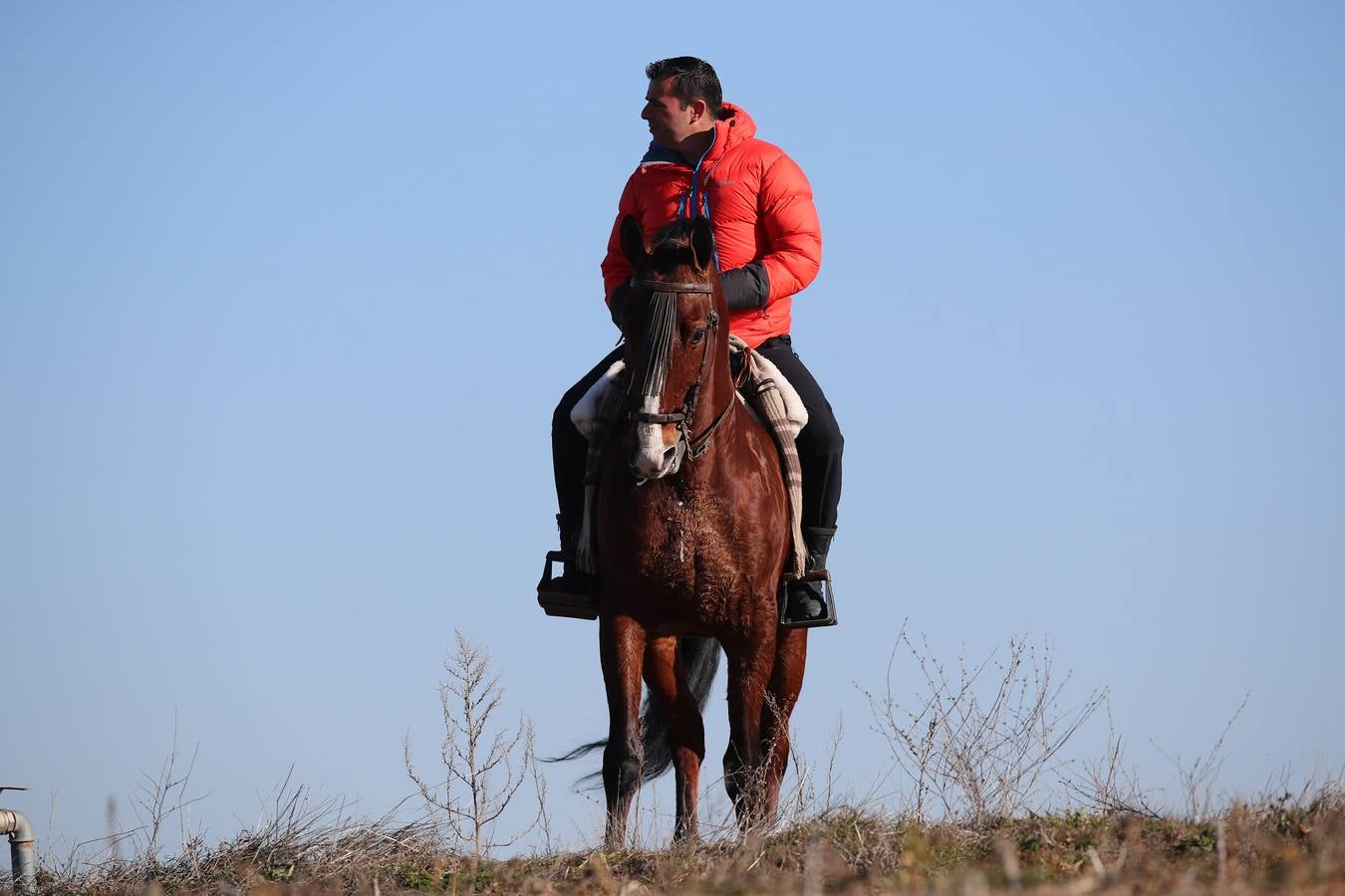 Fotos: Segunda jornada de semifinales del LXXXIV Campeonato de España de Galgos en Campo