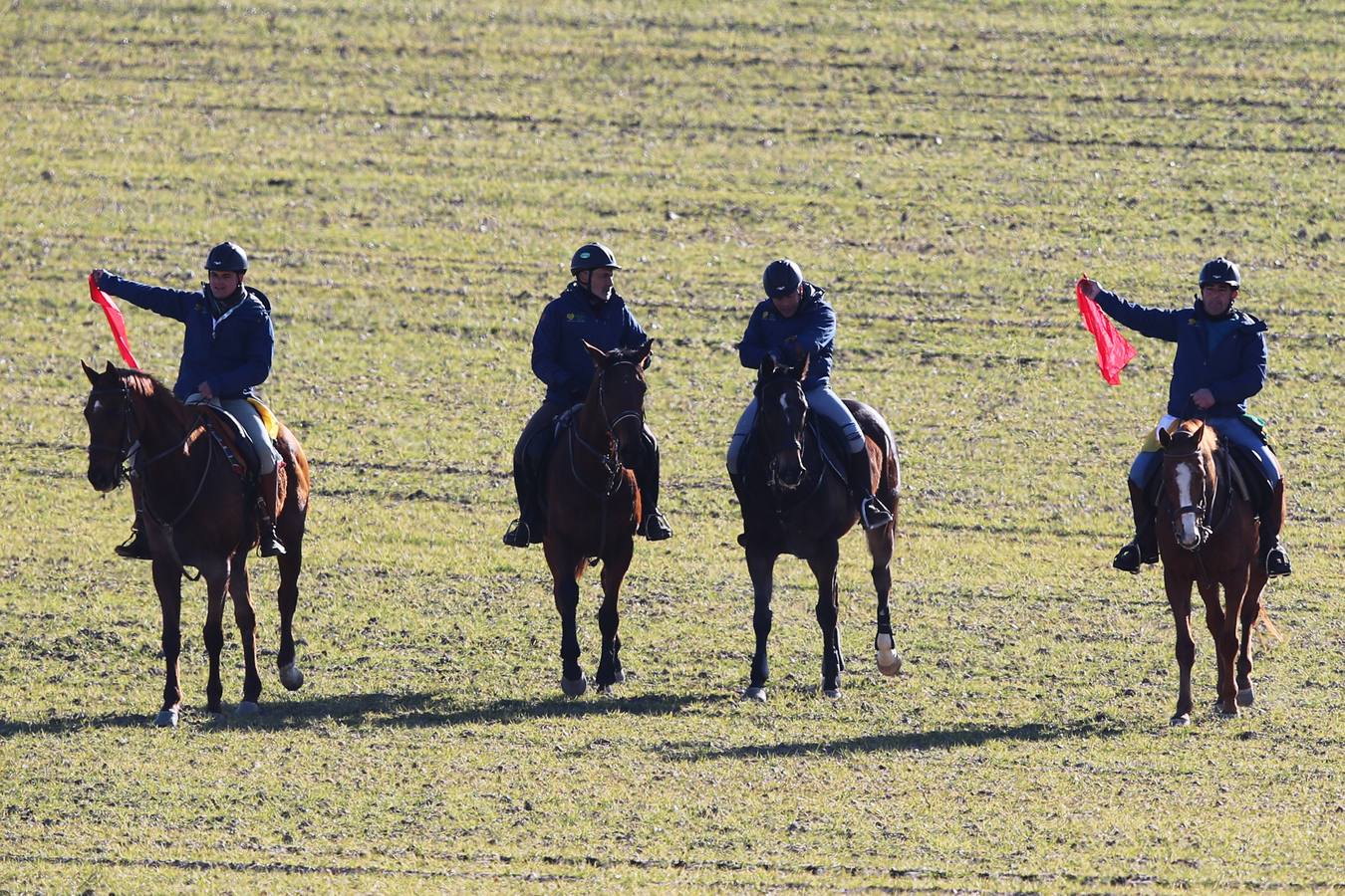Fotos: Segunda jornada de semifinales del LXXXIV Campeonato de España de Galgos en Campo