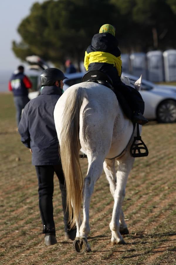 Fotos: Segunda jornada de semifinales del LXXXIV Campeonato de España de Galgos en Campo