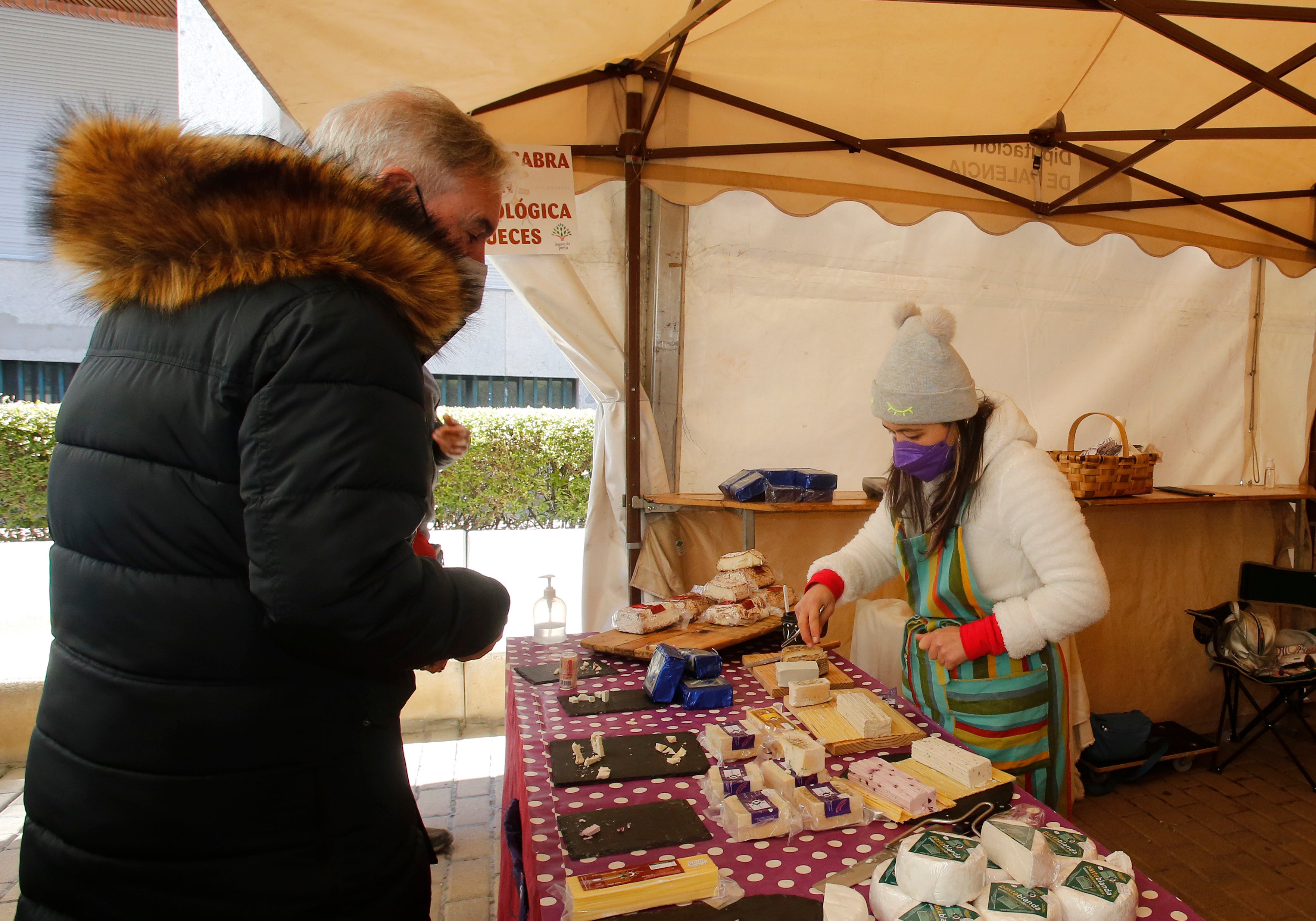 Inauguración de la III Feria de Apicultura en Palencia