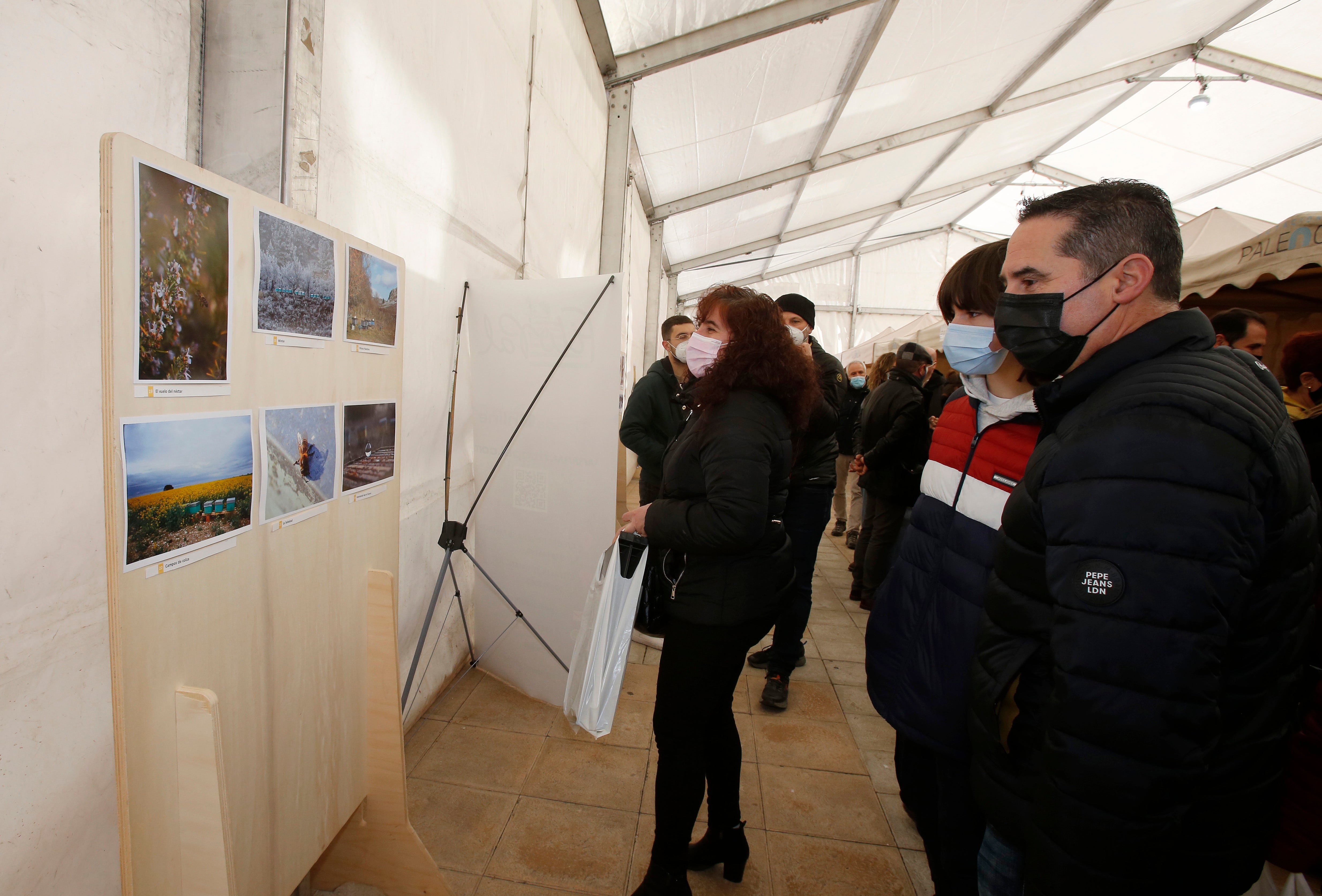 Inauguración de la III Feria de Apicultura en Palencia