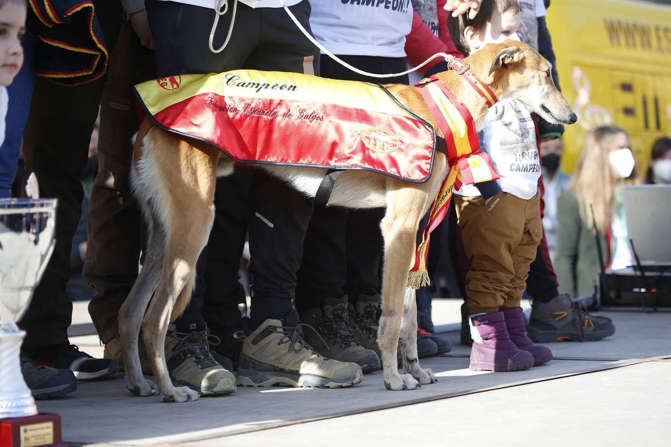 Fotos: El galgo castellano y leonés Rubio de Triki se impone en el Campeonato Nacional en Campo