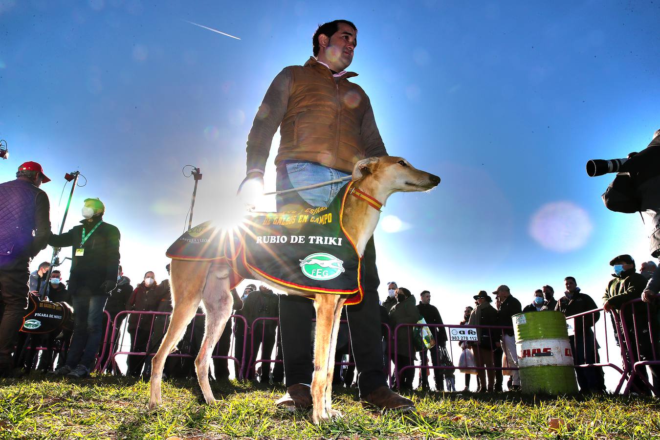 Fotos: El galgo castellano y leonés Rubio de Triki se impone en el Campeonato Nacional en Campo