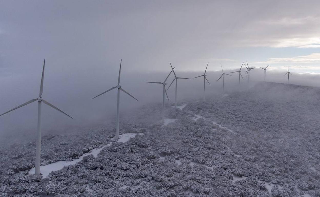 Parque eólico Sierra de Dueña de Iberdrola, enclavado en la dehesa salmantina.