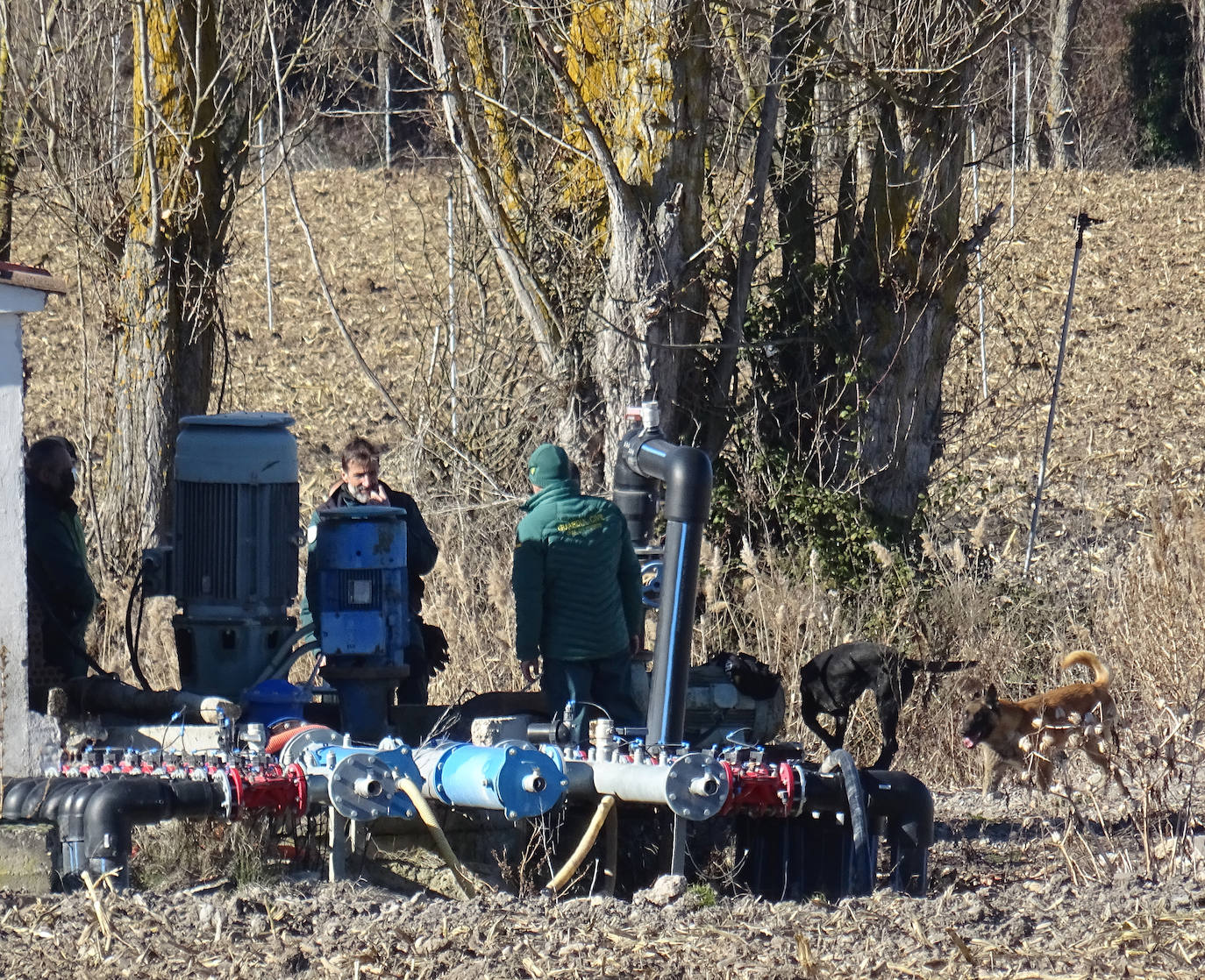 Fotos: Los Geas y guías caninos buscan a Esther López en pozos de Traspinedo