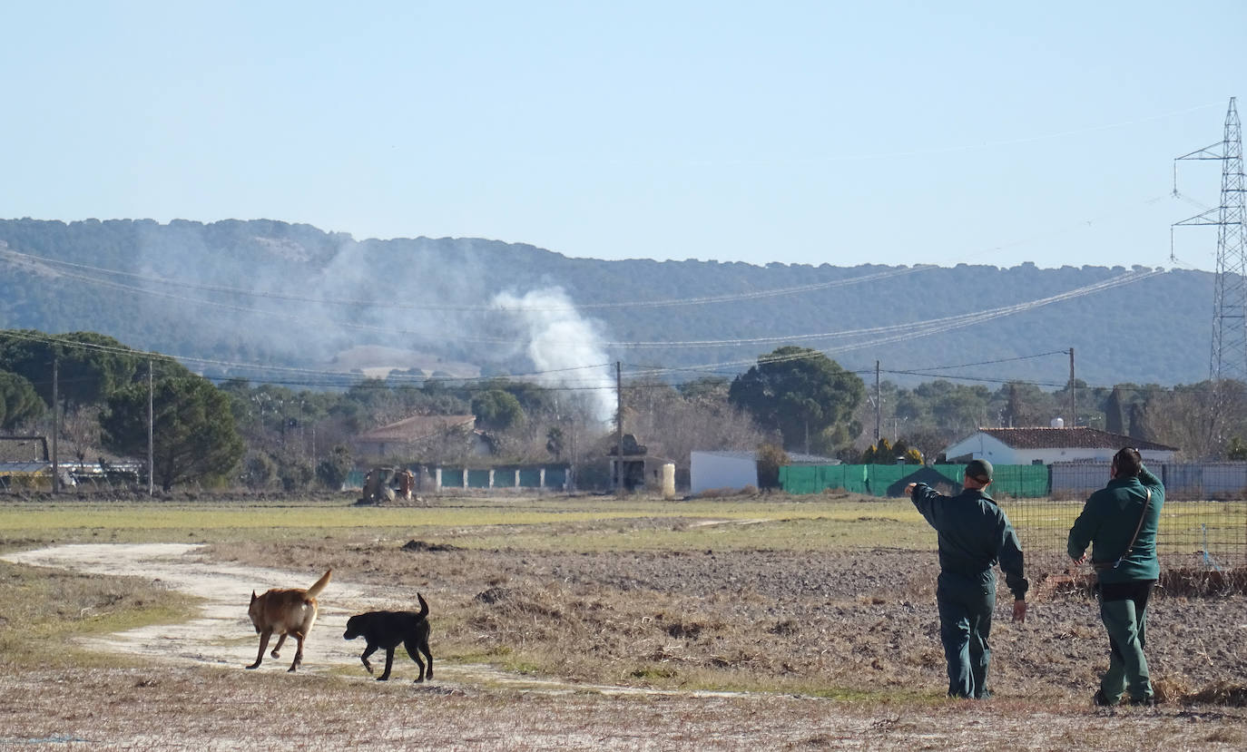 Fotos: Los Geas y guías caninos buscan a Esther López en pozos de Traspinedo