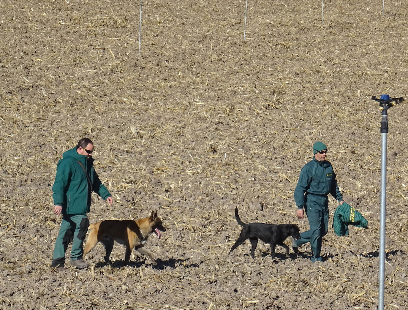 Fotos: Los Geas y guías caninos buscan a Esther López en pozos de Traspinedo