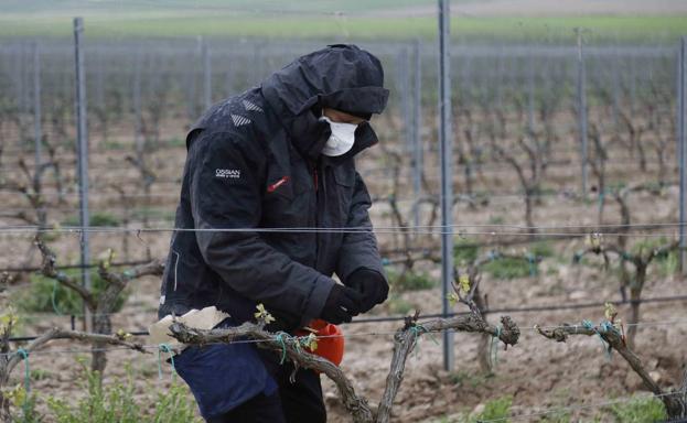 El sector agrario encadena dos meses de caída del número de parados en Castilla y León: