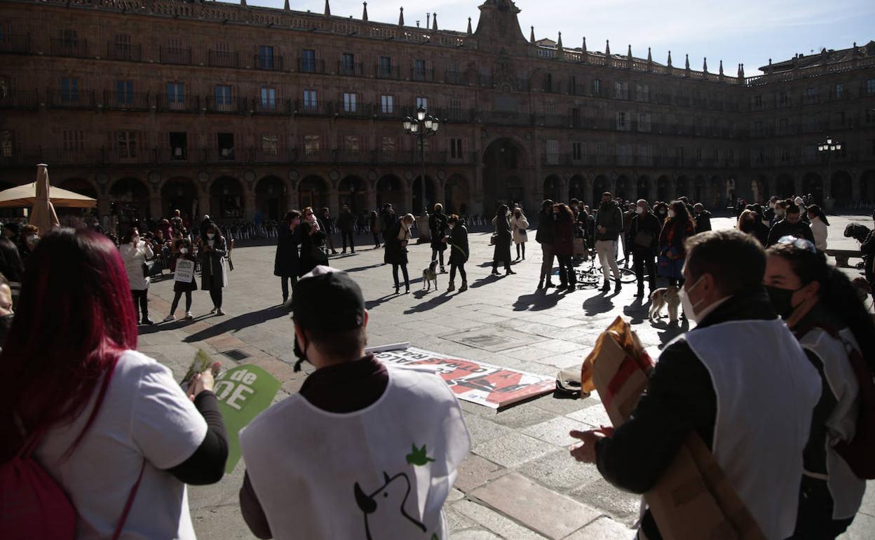 Asistentes a la concentración que tuvo lugar ayer en la Plaza Mayor para pedir el fin de la caza. 