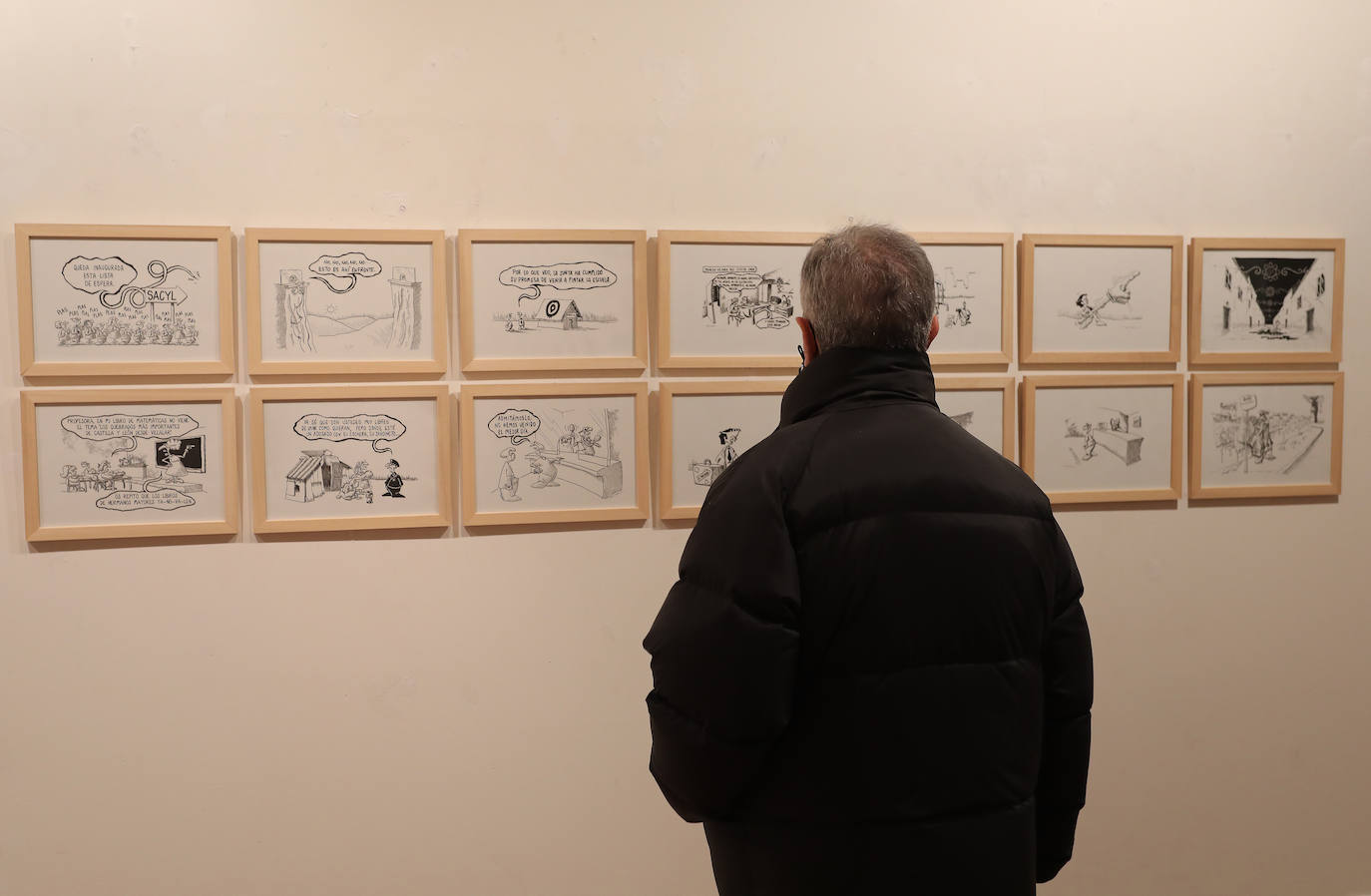 Fotos: La mirada de Sansón recala en Palencia