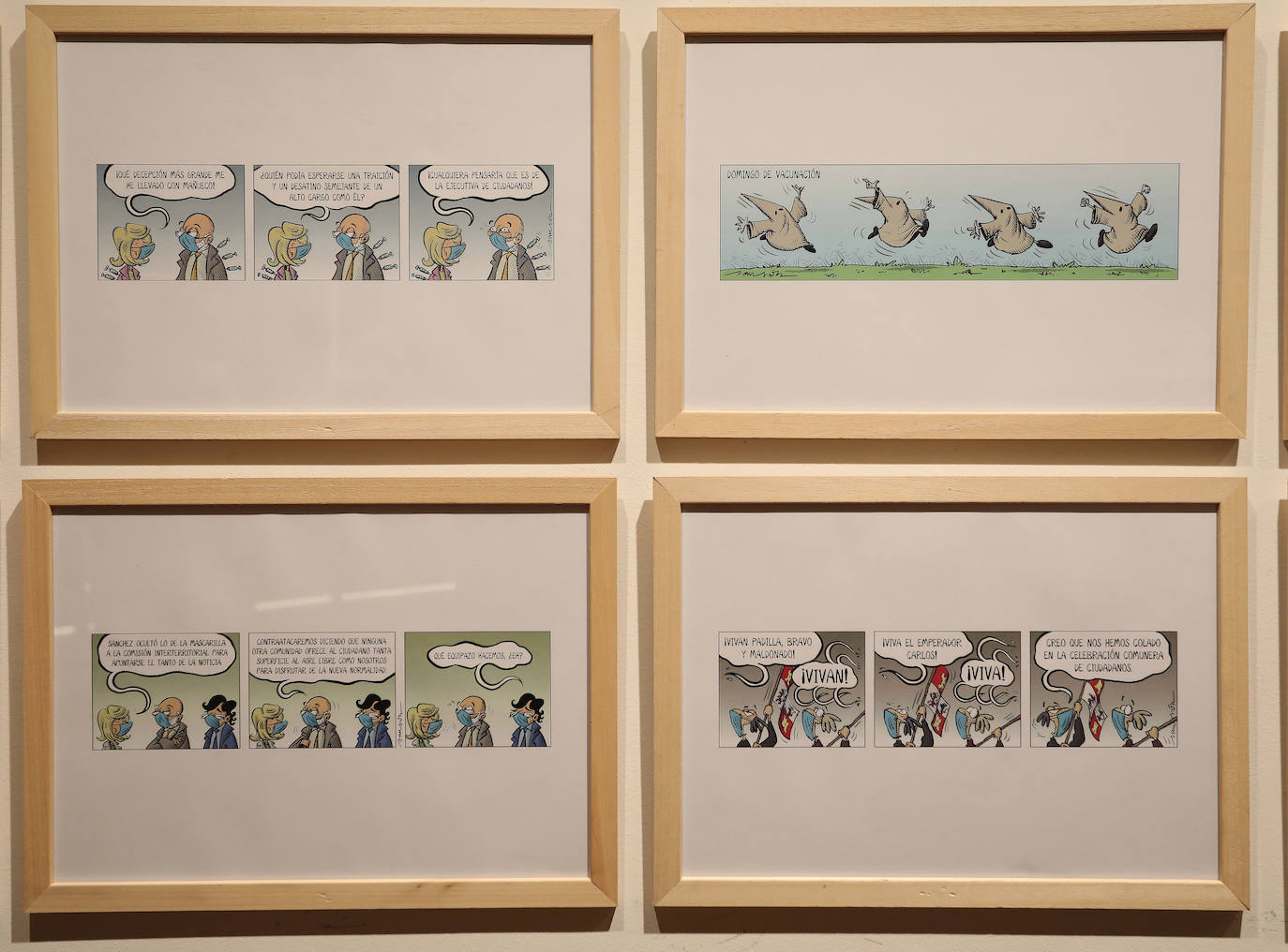 Fotos: La mirada de Sansón recala en Palencia