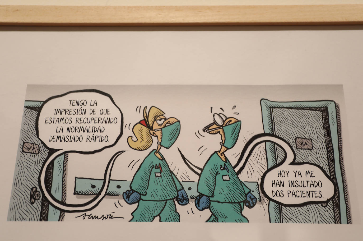 Fotos: La mirada de Sansón recala en Palencia