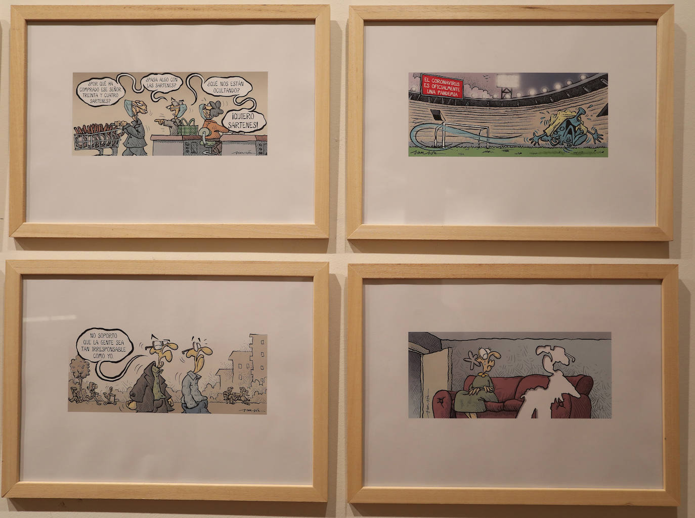 Fotos: La mirada de Sansón recala en Palencia