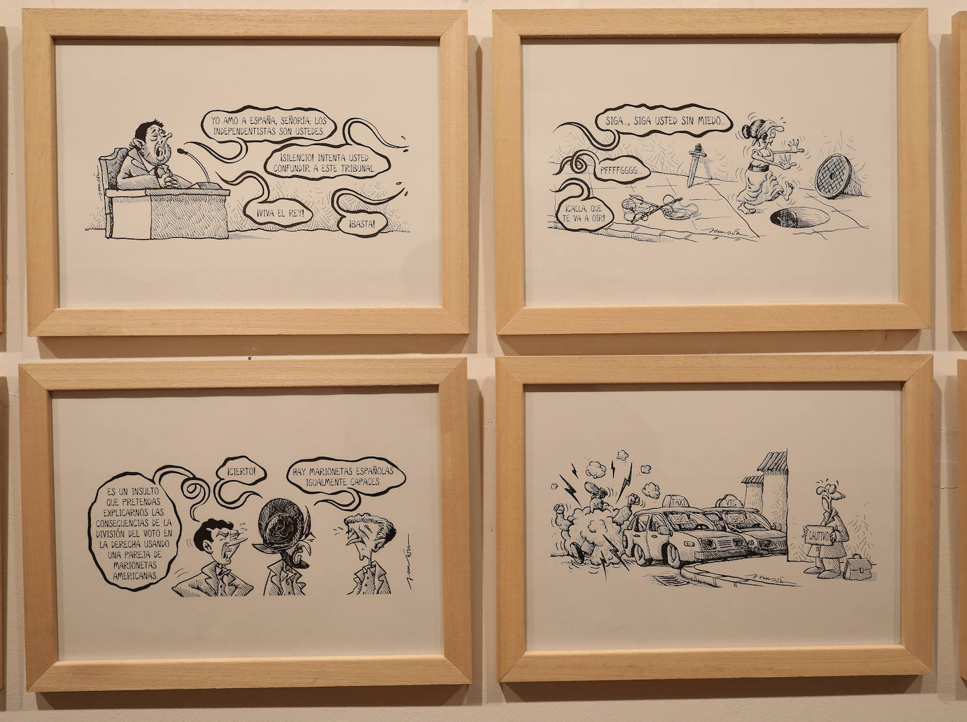 Fotos: La mirada de Sansón recala en Palencia