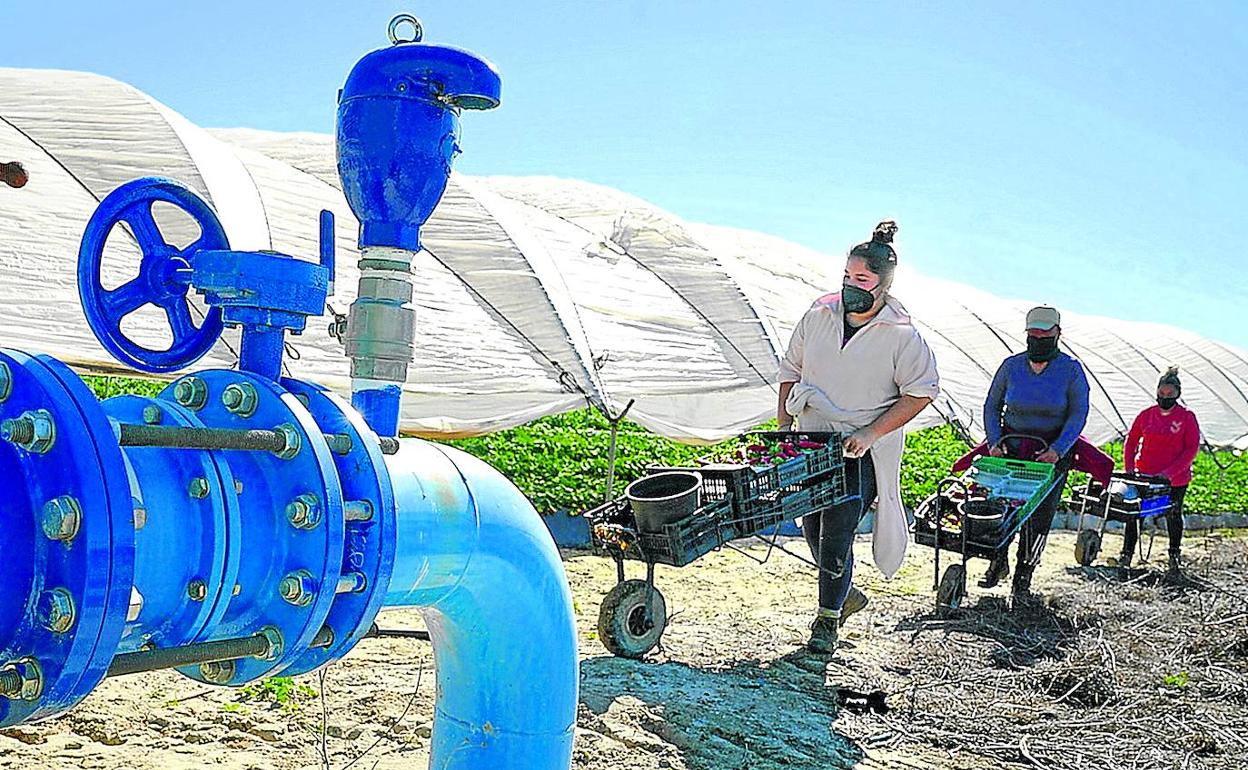 Bomba de riego en una explotación donde acaban de iniciar la recogida de la fresa, el cultivo por excelencia de Huelva