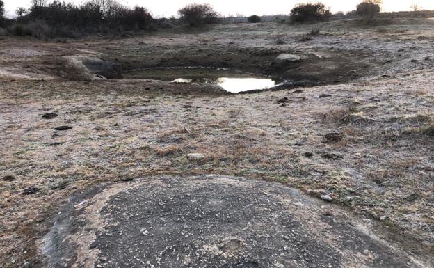 Estado de una charca en San Felices de los Gallegos, Salamanca. 