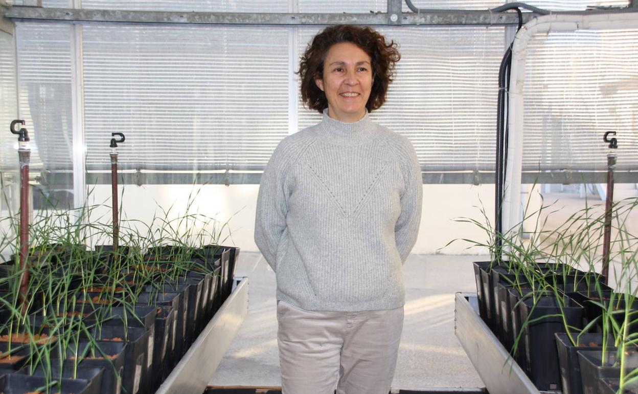 Mar Siles, en el invernadero del IRNASA. 