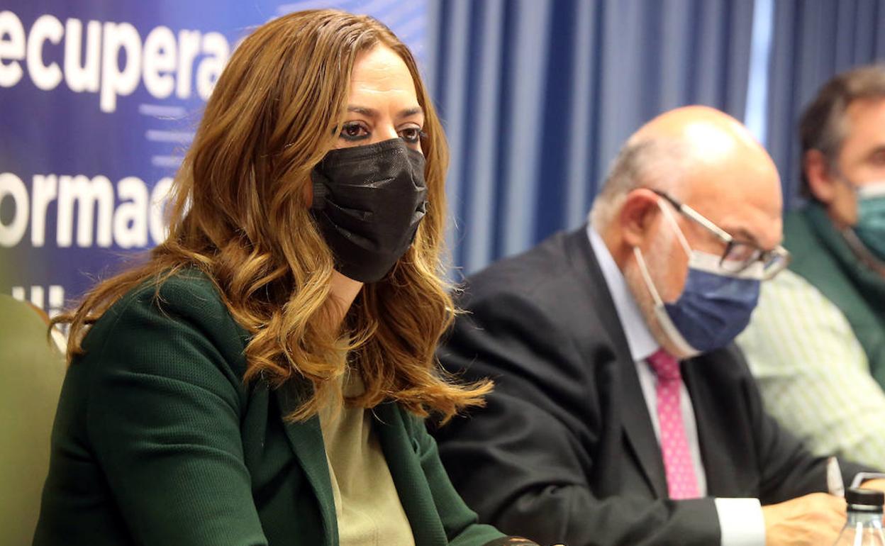 La delegada del Gobierno en Castilla y León, Virginia Barcones.