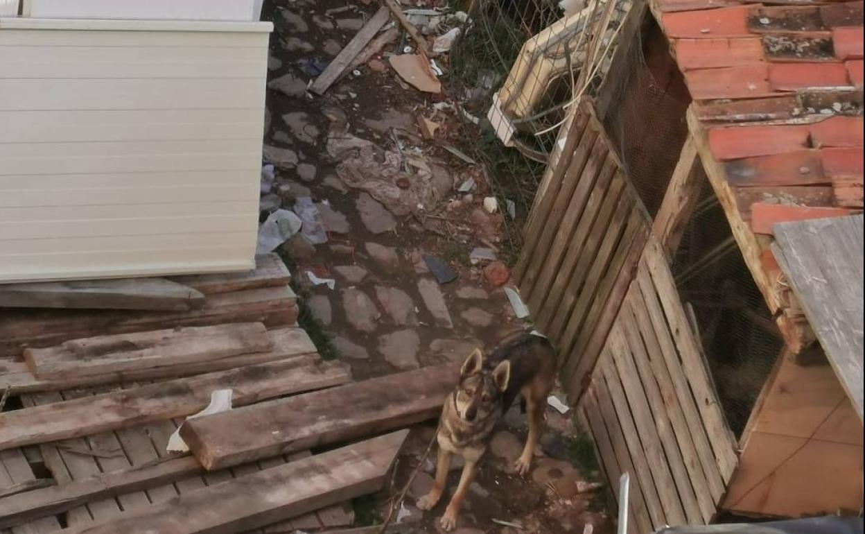 Lugar en el que vive 'Cartucho'.