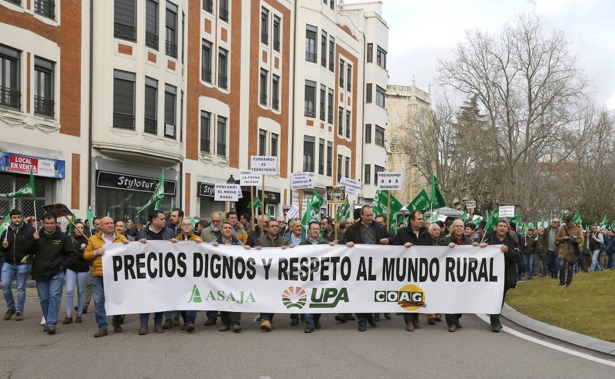 Manifestación de agricultores en Palencia. 