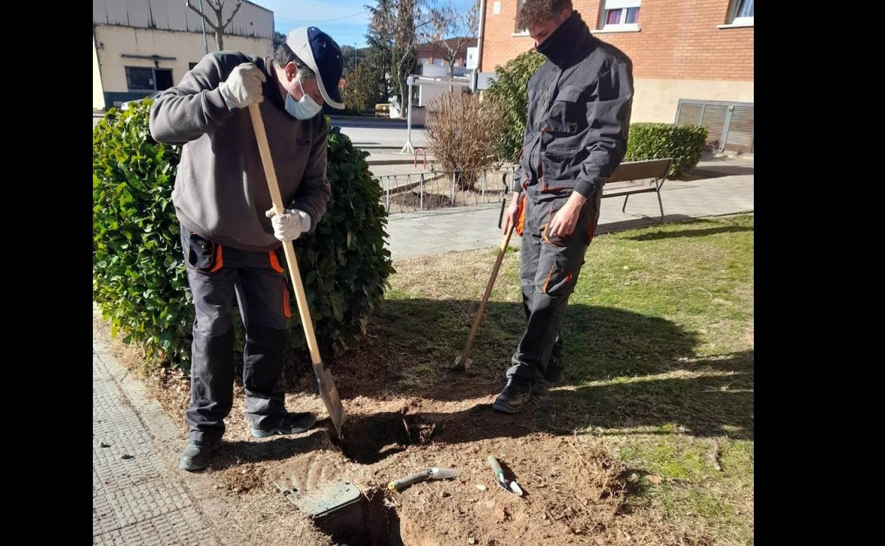 Continúan los trabajos teórico prácticos del alumnado del AFE Restaura Verde y AFE Alba Social