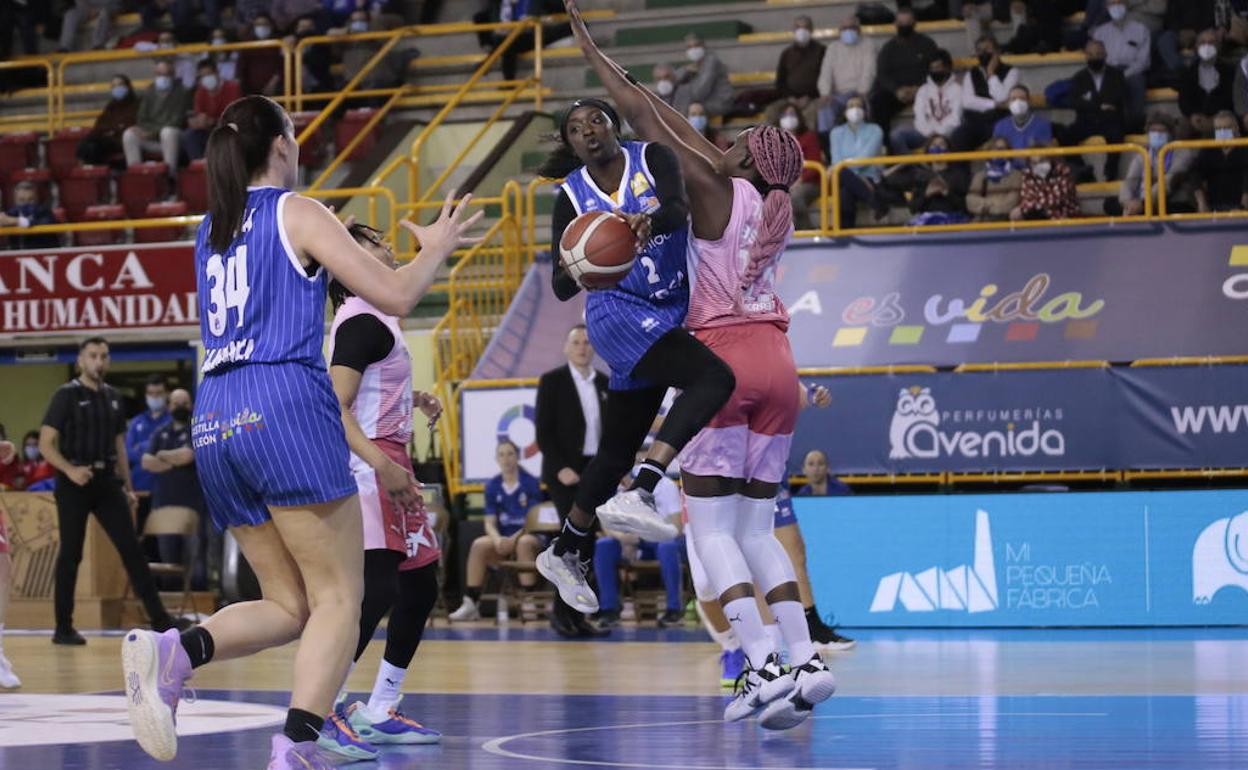 El CB Avenida sufre hasta el final ante un valiente Estudiantes (71-70)