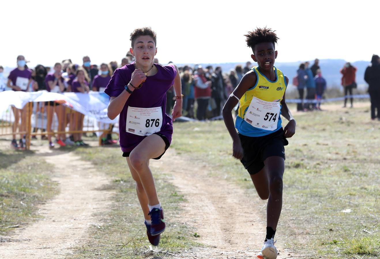 Fotos: El futuro del campo a través de Castilla y León se cita en Toro