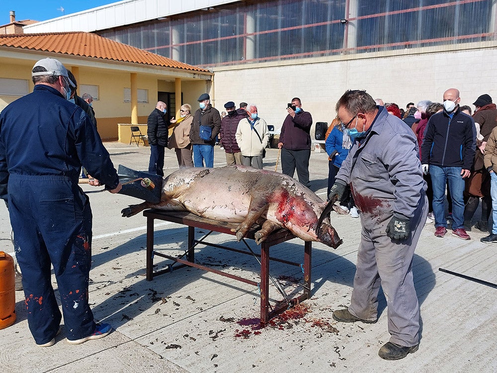 Los vecinos de Tamames disfrutan de su tradicional matanza