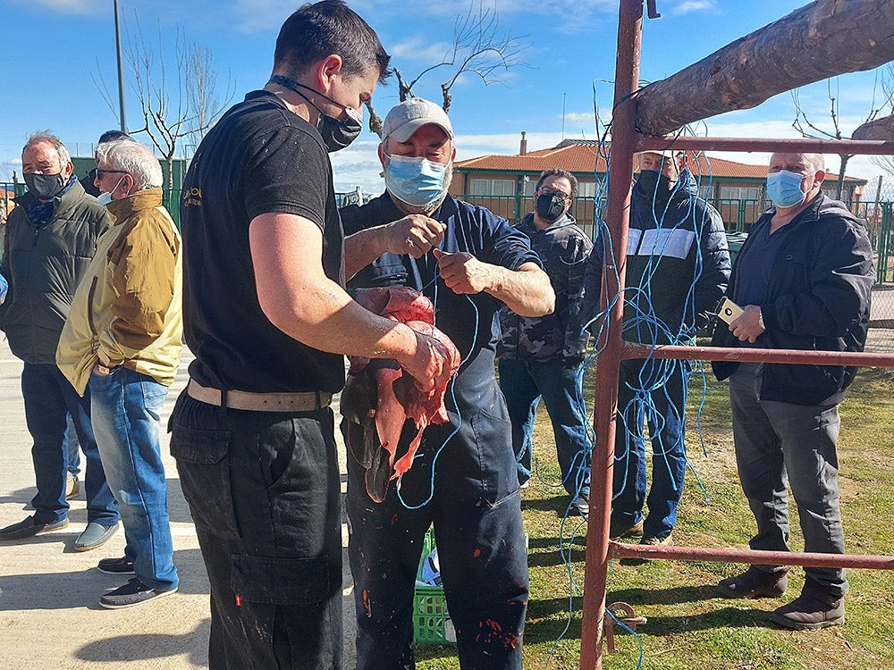 Los vecinos de Tamames disfrutan de su tradicional matanza