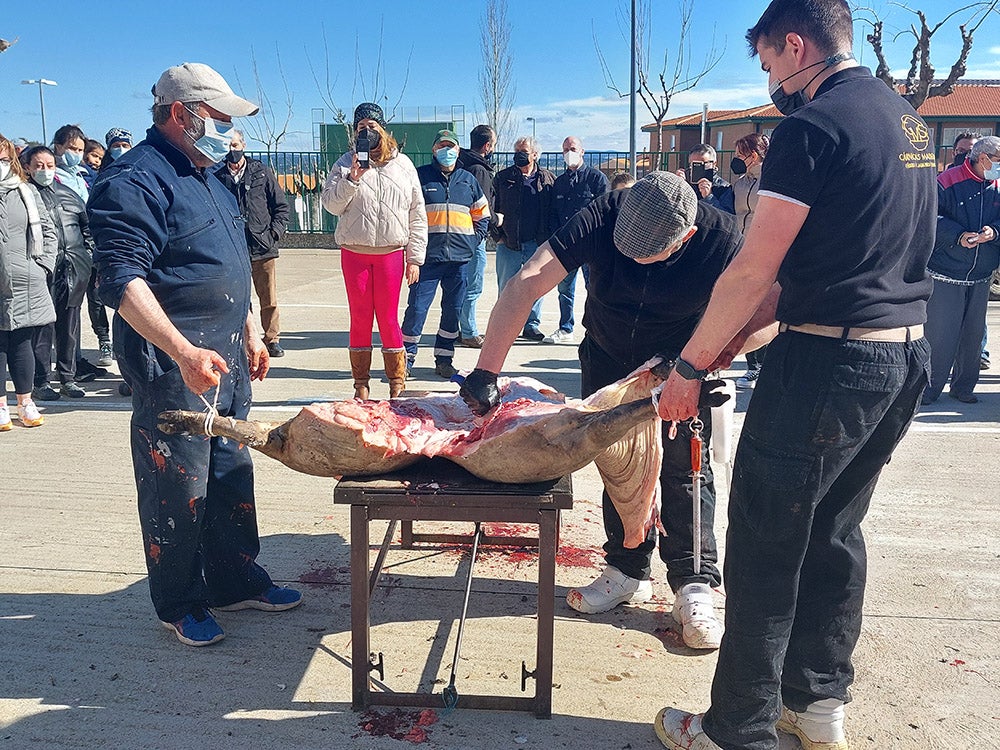 Los vecinos de Tamames disfrutan de su tradicional matanza